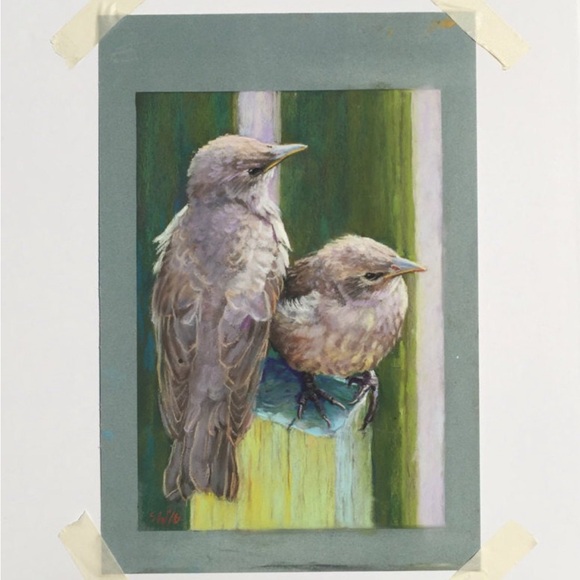 Birds in pastel - Picture 3 of 5